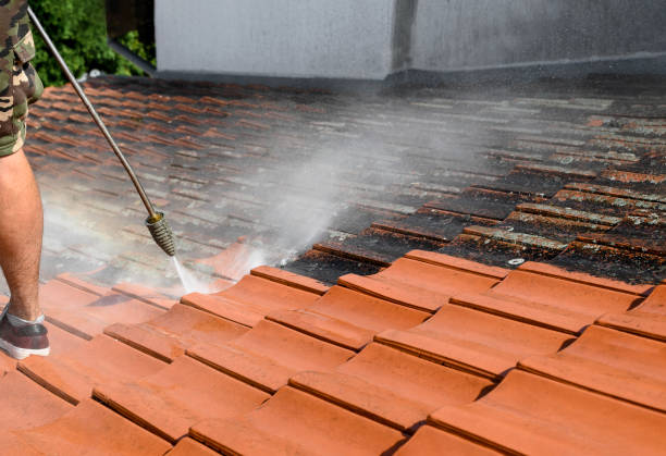 Best Concrete Pressure Washing  in Lahaina, HI