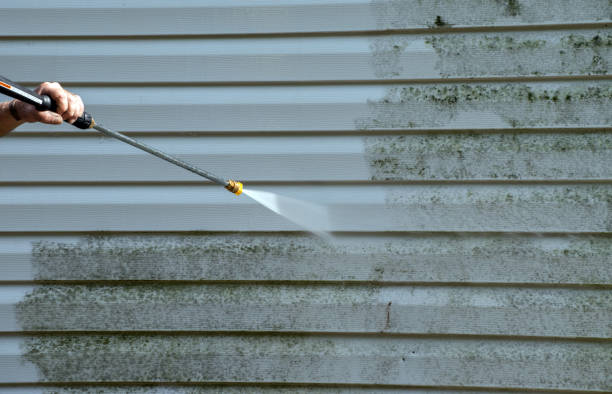 Why Choose Our Certified Pressure Washing Experts for Your Project Needs in Lahaina, HI?